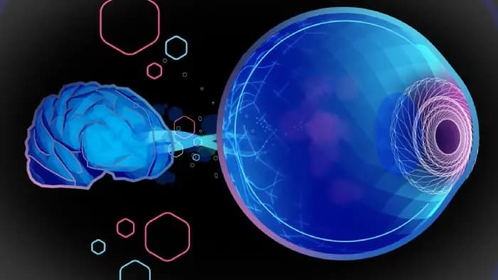 northwestern university