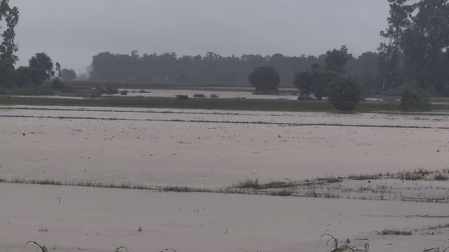swollen Ravi river 