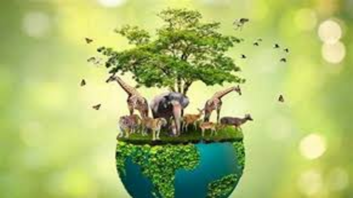 India Strengthens Wildlife Conservation Initiatives