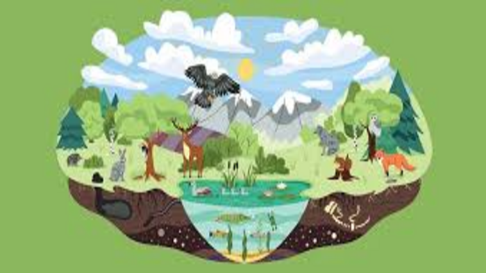 Biodiversity Conservation Measures Enhanced