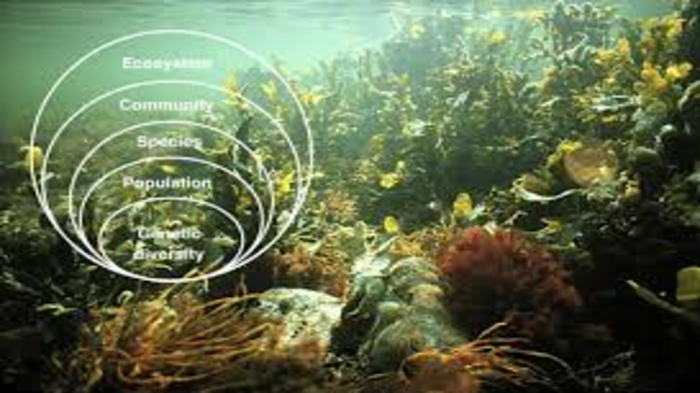 India is working hard to protect its wildlife and the natural world