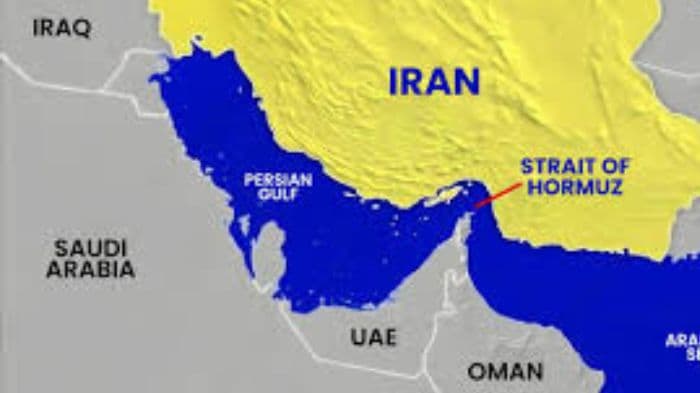 Gujarat-bound ship among two vessels seized by Iran near Strait of Hormuz