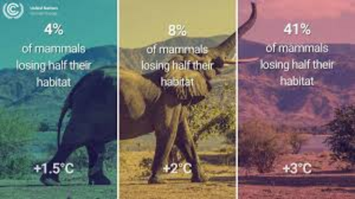 Global Biodiversity Initiatives Gain Momentum