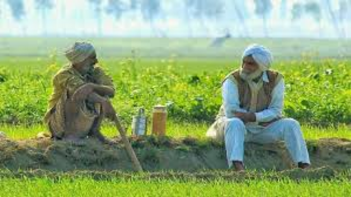 Indias Agriculture Sector Adapts to Climate Challenges