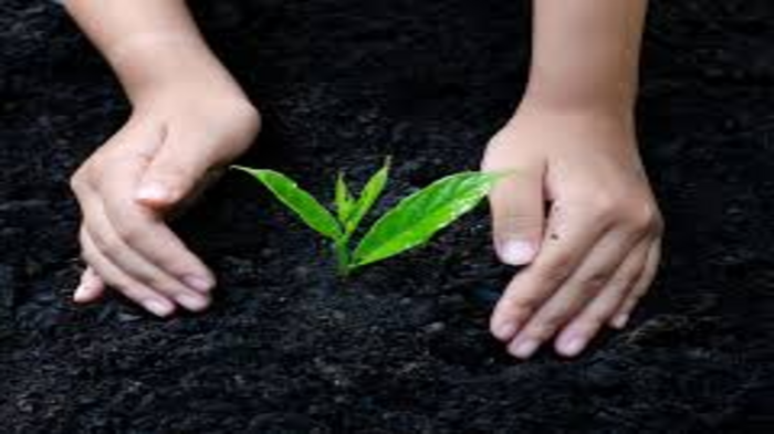 Global Efforts to Save Biodiversity Get