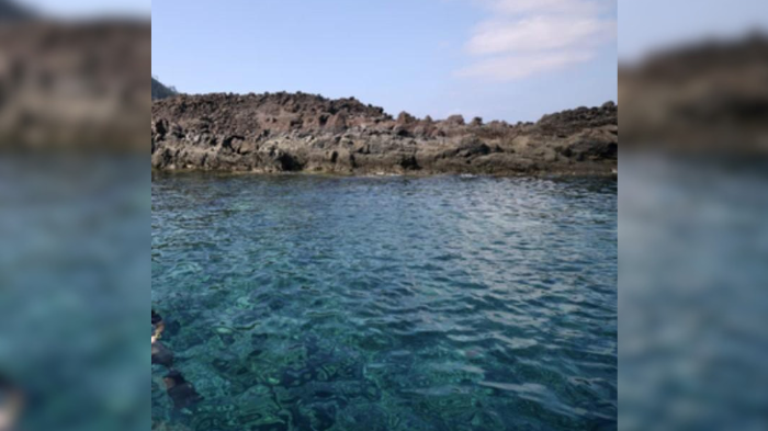Andaman and Nicobar