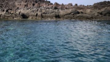 Andaman and Nicobar