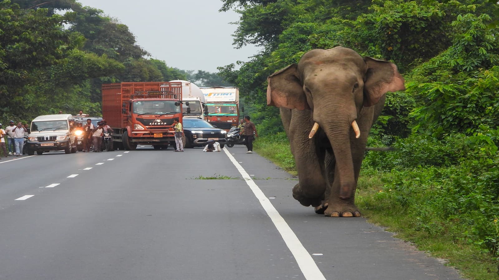 India’s Roads Sector Enters Execution-Focused Phase in FY27, States Emerge as Key Driver: Report
