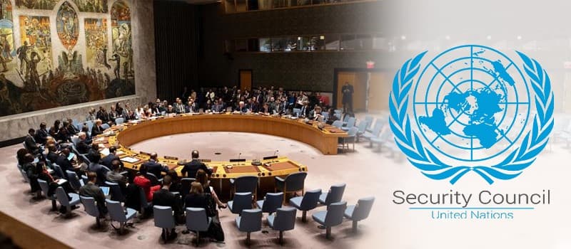 US official reacts to Elon Musk's remark on India's permanent UNSC seat