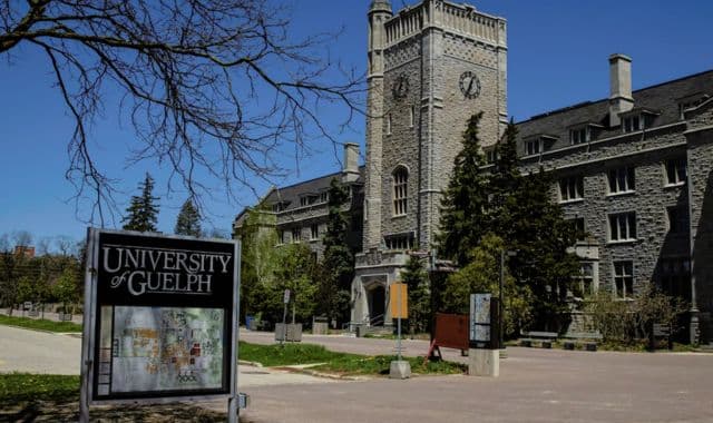 Canada’s University of Guelph offers USD 2000 UG scholarships for international students