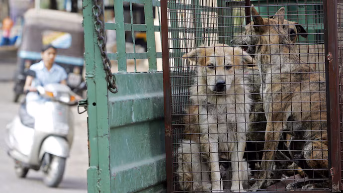 Chief Justice of India