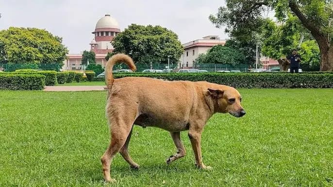 Supreme Court