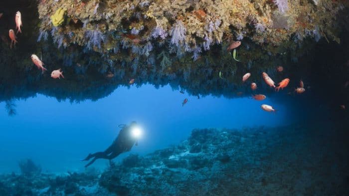 Five Italian divers killed in Maldives cave diving tragedy