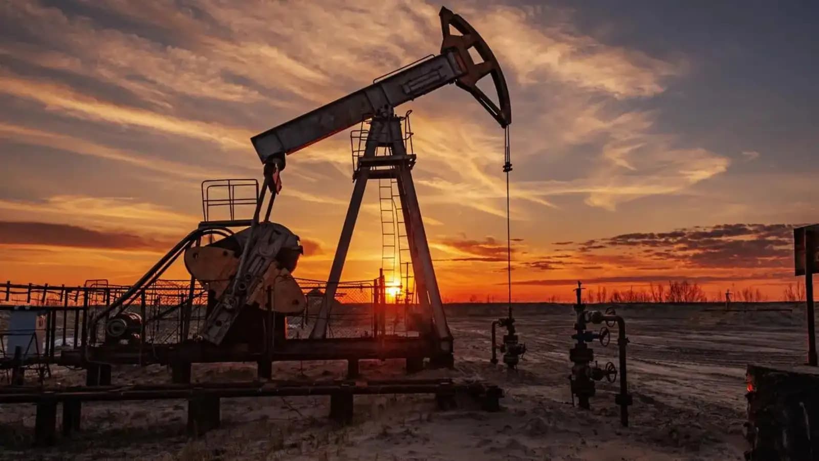 Govt extends customs duty relief on petrochemical imports till July 15