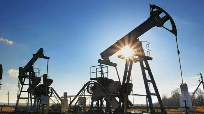 India Deepens Energy Trade with Russia Through Rising Petrol Exports