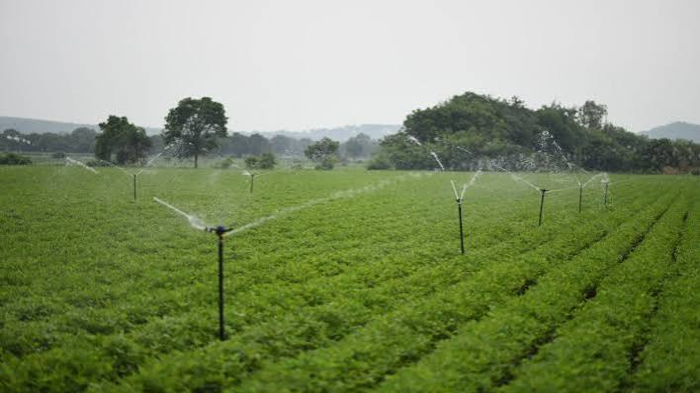 ‘Per Drop More Crop’ Transforms Irrigation Access Across 115 Lakh Hectares