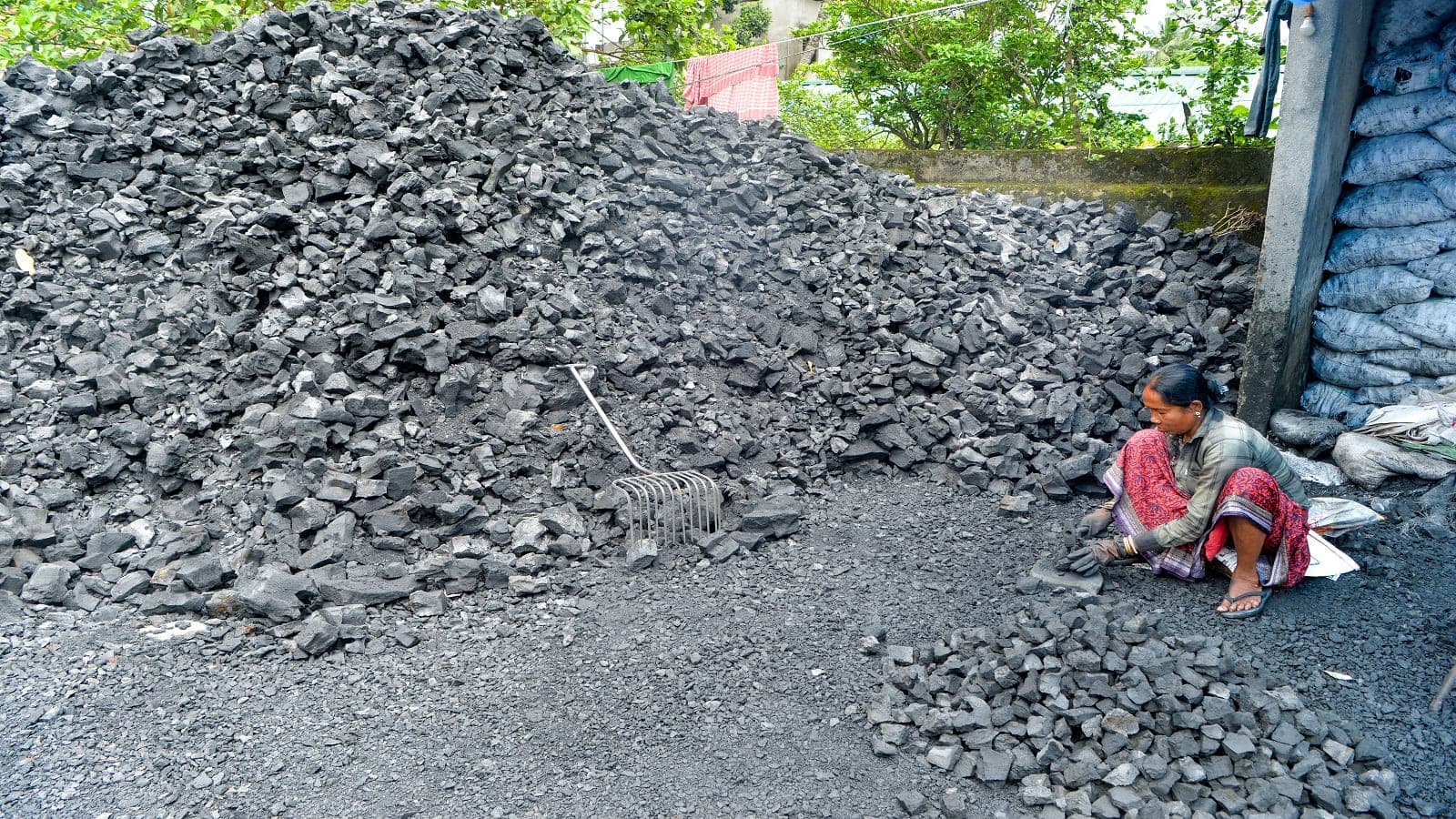 Coal Ministry Urges UP to Develop Captive Coal Block for Long-Term Thermal Power Fuel Security
