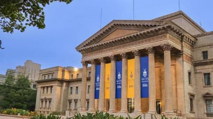 Wits researchers develop light-powered neural network to decode complex signals